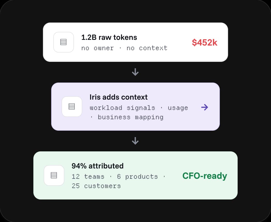 Raw tokens reconstructed by Iris into a fully attributed, CFO-ready P&L